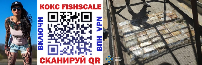 COCAIN FishScale  MEGA маркетплейс  Каменногорск  купить наркоту 