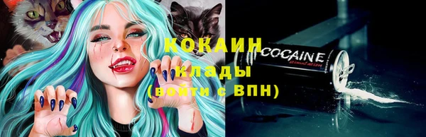 хмурый Абаза