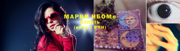 стаф Алексин