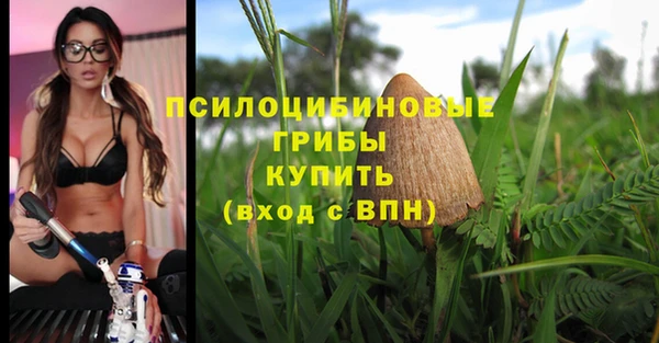 спайс Алзамай