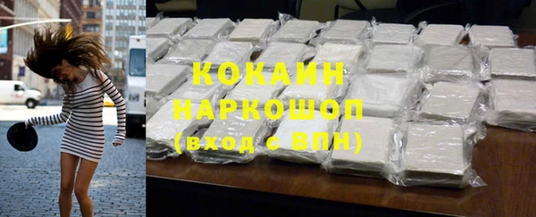 хмурый Абаза