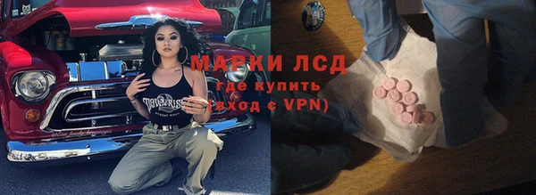 хмурый Абаза