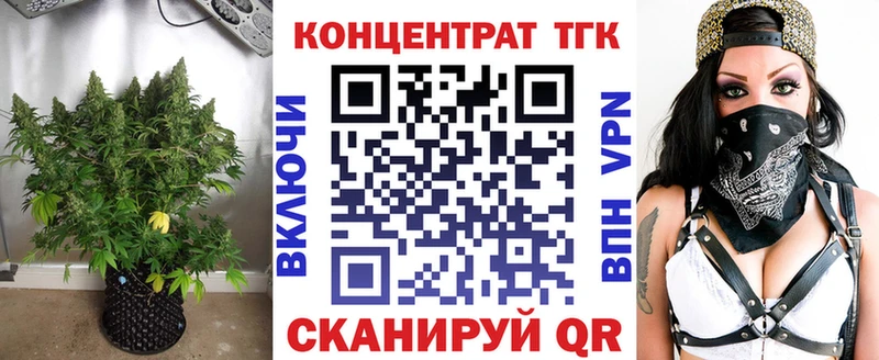 kraken как войти Каменногорск Дистиллят ТГК THC oil