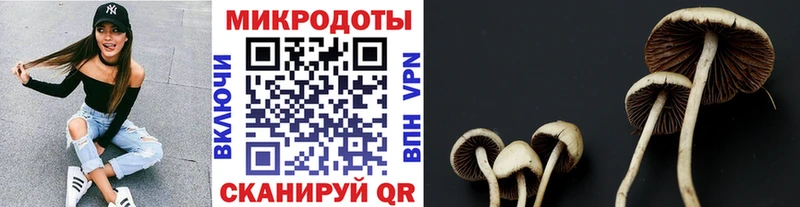 Псилоцибиновые грибы GOLDEN TEACHER Каменногорск